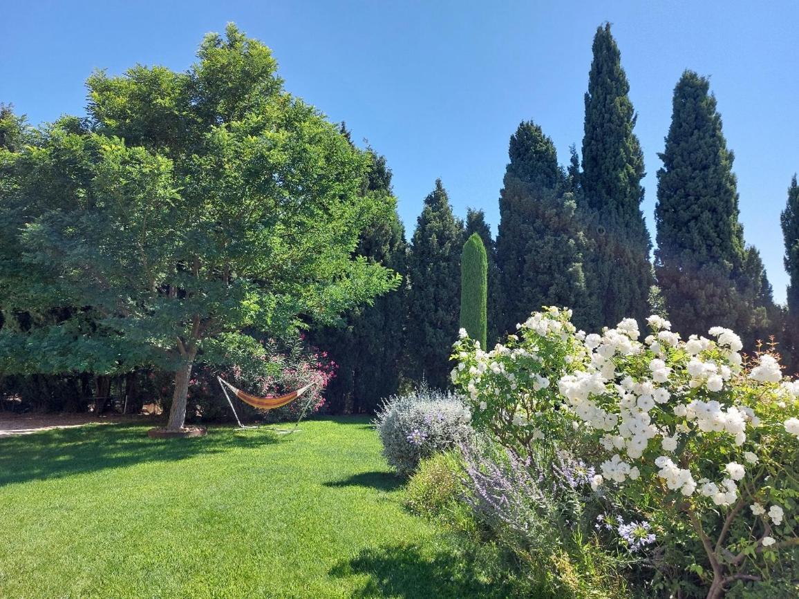 En Provence, Chez Stephanie Et Marcel Saint-Rémy-de-Provence Extérieur photo
